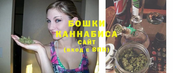 ALPHA PVP Горнозаводск