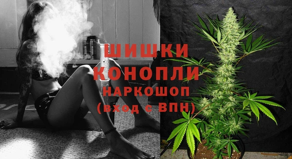 хмурый Горняк
