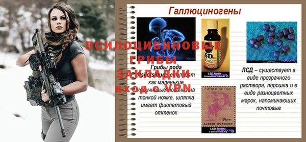 хмурый Горняк