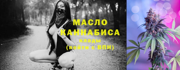 хмурый Горняк